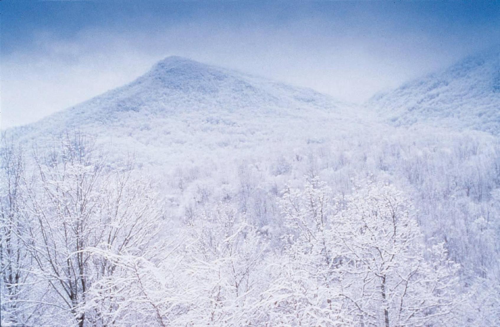 Club Wyndham Smoky Mountains Hotel Сивиървил Екстериор снимка